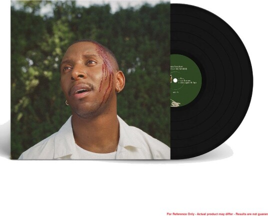 Samm Henshaw It Could Be Worse Vinyl