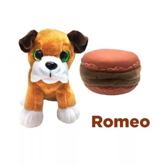 Sweet PupsRomeo Sweet PupsRomeo