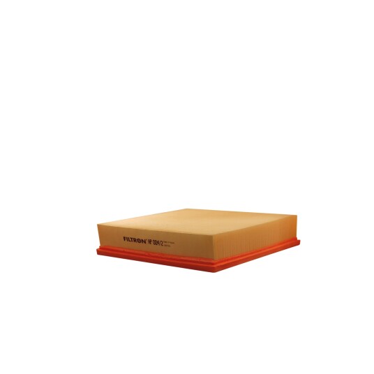 Luftfilter FILTRON AP 004/2