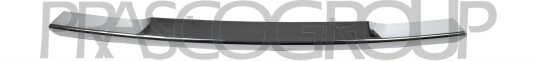 Pynte- / vernelist, støtfanger PRASCO JE0341245