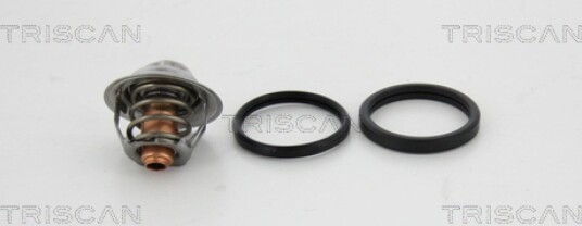 Termostat TRISCAN 8620 40282