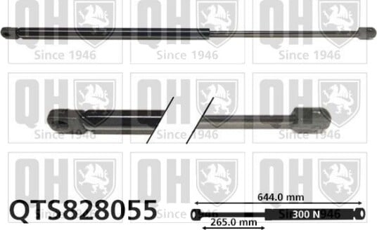 QUINTON HAZELL QTS828055 Baklukedemper