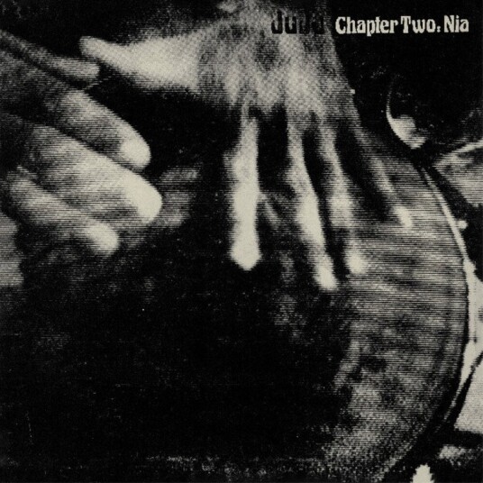 Chapter Two Nia Vinyl