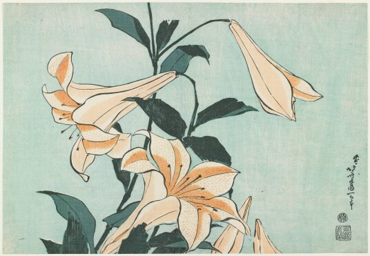 Plakat Liljer av Hokusai Plakat Liljer av Hokusai