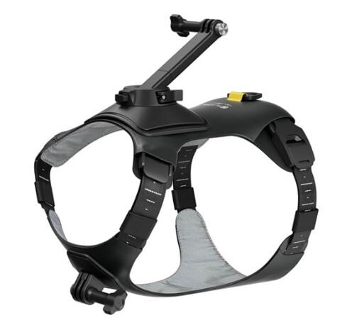 Insta360 - GO 3/GO 3S Pet Harness Mount Size M