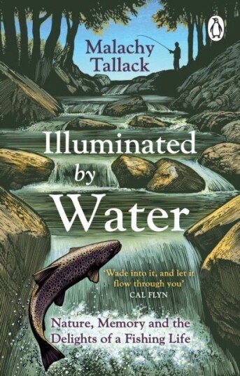 Illuminated By Water Av Malachy Tallack