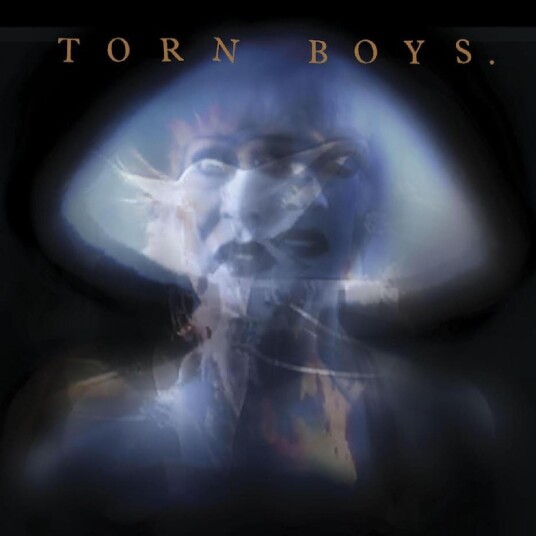 Torn Boys 1983 LP/Vinyl