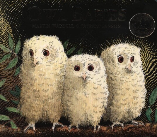 Owl Babies Av Martin Waddell