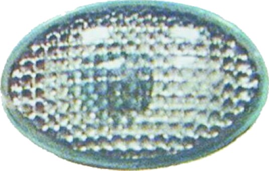 DIEDERICHS 1812078 Blinklys