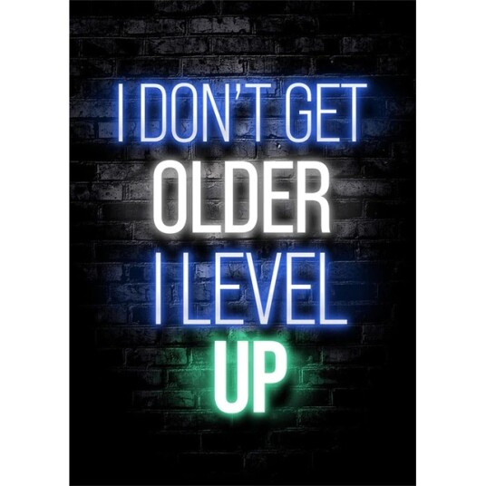 Plakat I DON'T GET OLDER I LEVEL UP Plakat I DON'T GET OLDER I LEVEL UP