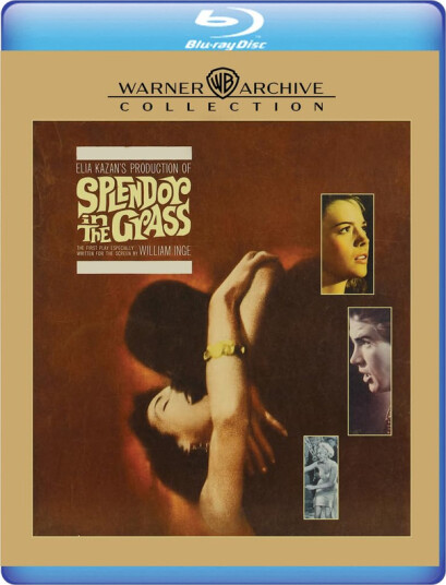Splendor in the Grass 1961 / Feber i blodet Bluray