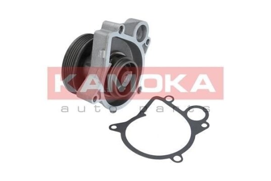 KAMOKA T0061 Vannpumpe