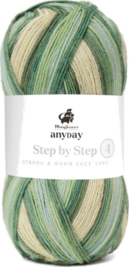 Mayflower ANYDAY Step by Step 4