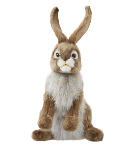 Jack Rabbit Kosedyr | Hansa Creation Jack Rabbit Kosedyr | Hansa Creation