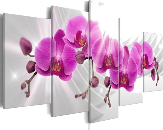 Bilde Abstract Garden Pink Orchids 100x50 Artgeist sp. z o. o.