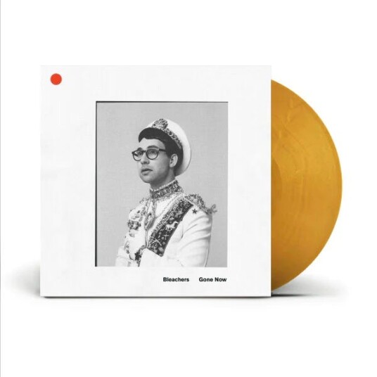 Bleachers  Gone Now  LP/Vinyl