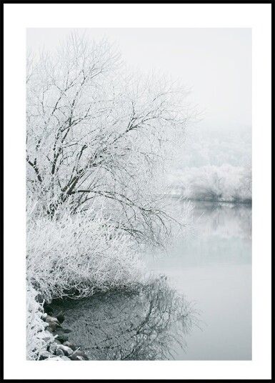 Winter Lake Plakat Plakat / 40x50cm