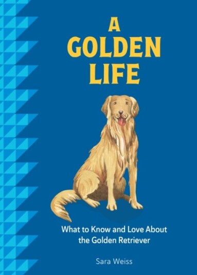 A Golden Life What to Know and Love About the Golden Retriever