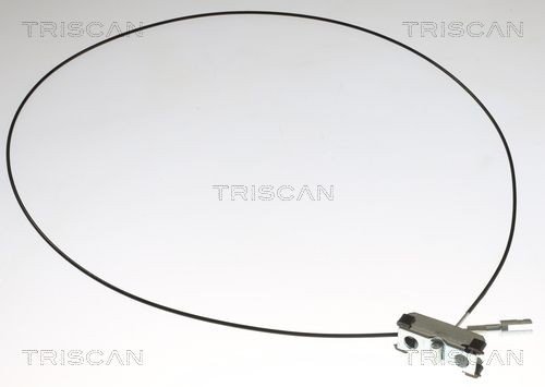 Bremsewire TRISCAN 8140 251101