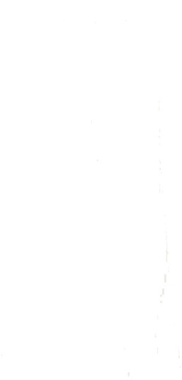 Elisabetta Franchi Dame Bukser Hvit S, Elisabetta Franchi Dame Bukser Hvit S,
