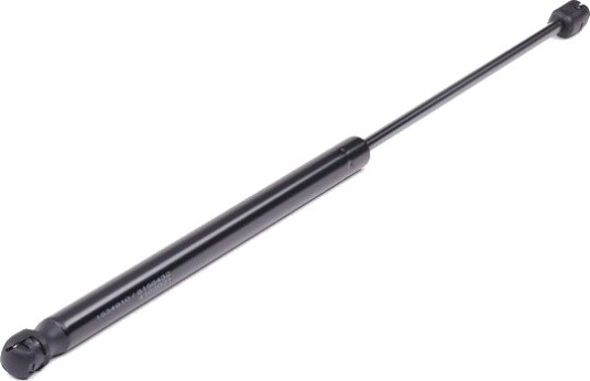 RIDEX 219G0384 Baklukedemper