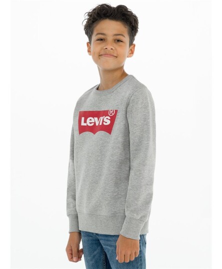 Levi'S Batwing Genser Jr Grå 10år