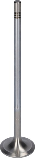 Innløpsventil FEBI BILSTEIN 181641