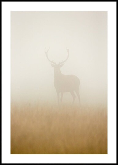 Ghost Stag Poster Plakat / 40x50cm