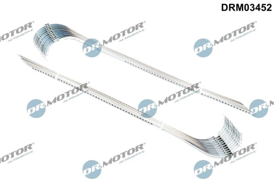 Slangeklemme DR.MOTOR AUTOMOTIVE DRM03452