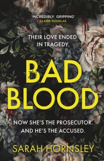 Bad Blood the biggest debut of 2025 an explosive psychological crime thriller with a triple twist Bad Blood the biggest debut of 2025 an explosive psychological crime thriller with a triple twist