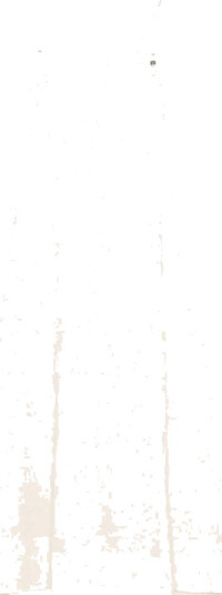 Liu Jo Dame Kjoler Beige S,
