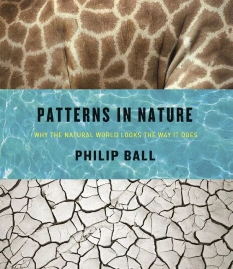 Patterns In Nature Av Philip Ball