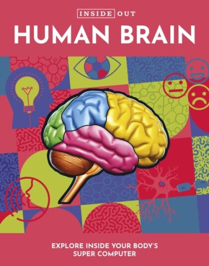 Inside Out Human Brain Av Editors Of Chartwell Books