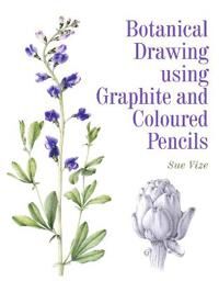 Botanical Drawing Using Graphite And Coloured Pencils Av Sue Vize