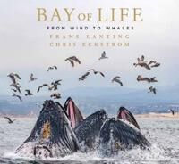 Bay Of Life Av Frans Lanting, Chris Eckstrom