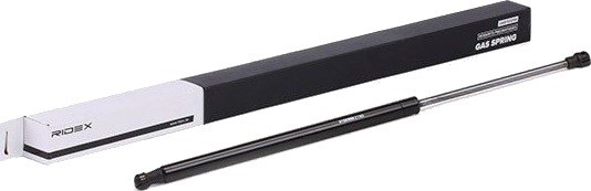 RIDEX 219G0221 Baklukedemper