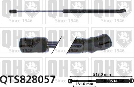 QUINTON HAZELL QTS828057 Baklukedemper