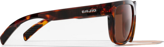 Bajio Caballo Bajio Caballo