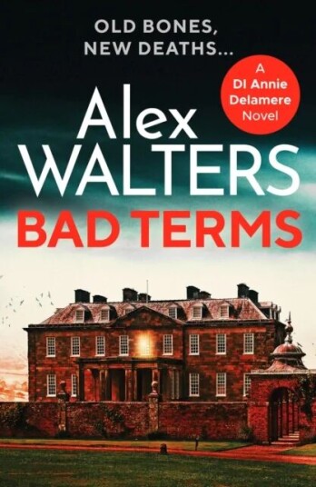 Bad Terms Av Alex Walters
