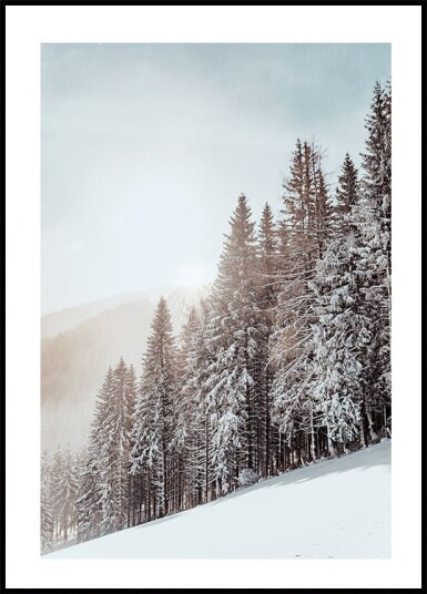 Snow Covered Trees Plakat Plakat / 40x50cm