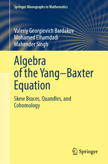 Algebra of the Yang–Baxter Equation Skew Braces, Quandles, and Cohomology