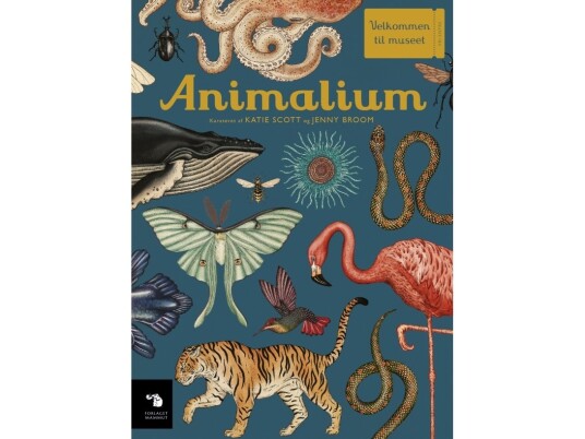 Animalium | Katie Scott & Jenny Broom | Språk: Dansk
