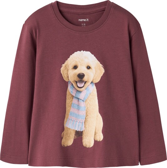 Name It Nmfvotea Ls Nreg Top WILD GINGER 116