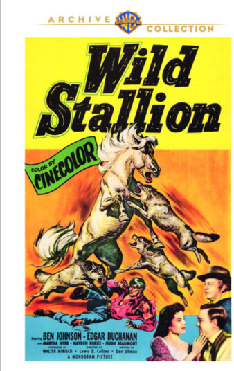 Wild Stallion DVD