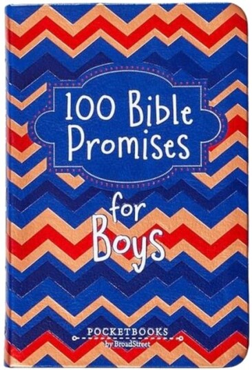 100 Bible Promises for Boys