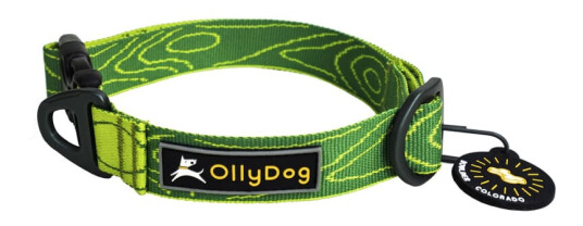 Ollydog Flagstaff Collar S Sage Bark