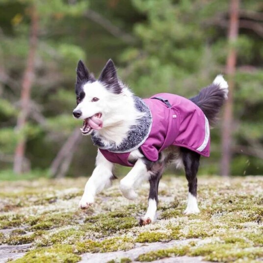 Pomppa Perus Vinterdekken Hund Lilla (60 cm)