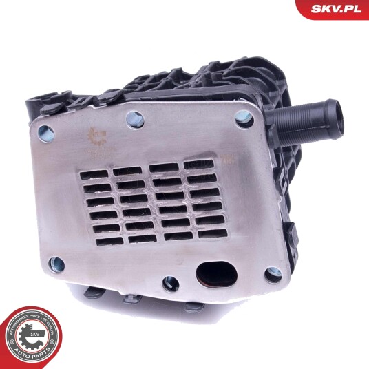 ESEN SKV 14SKV231 EGR-ventil