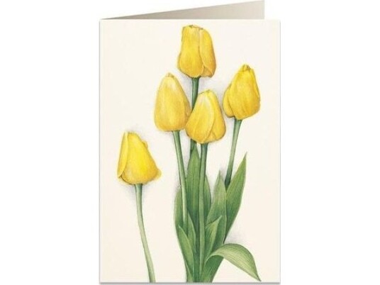 Tassotti Karnet B6 + Koperta 7516 Żółte Tulipany