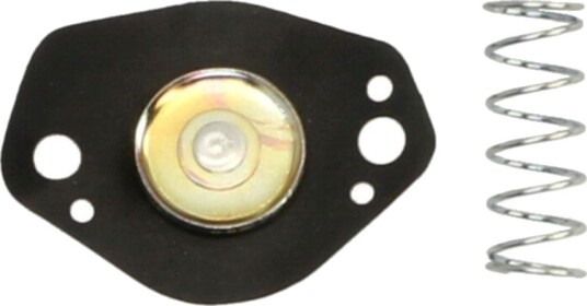 Membran forgasser TOURMAX ACV 004Y Membran forgasser TOURMAX ACV 004Y